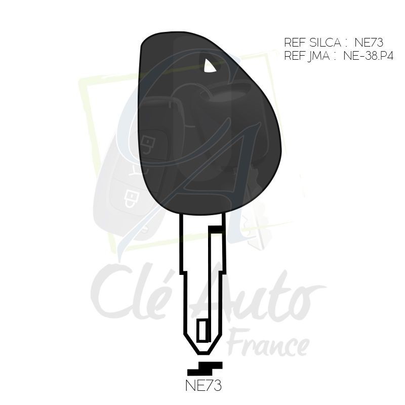 CLÉ À TRANSPONDEUR FO21