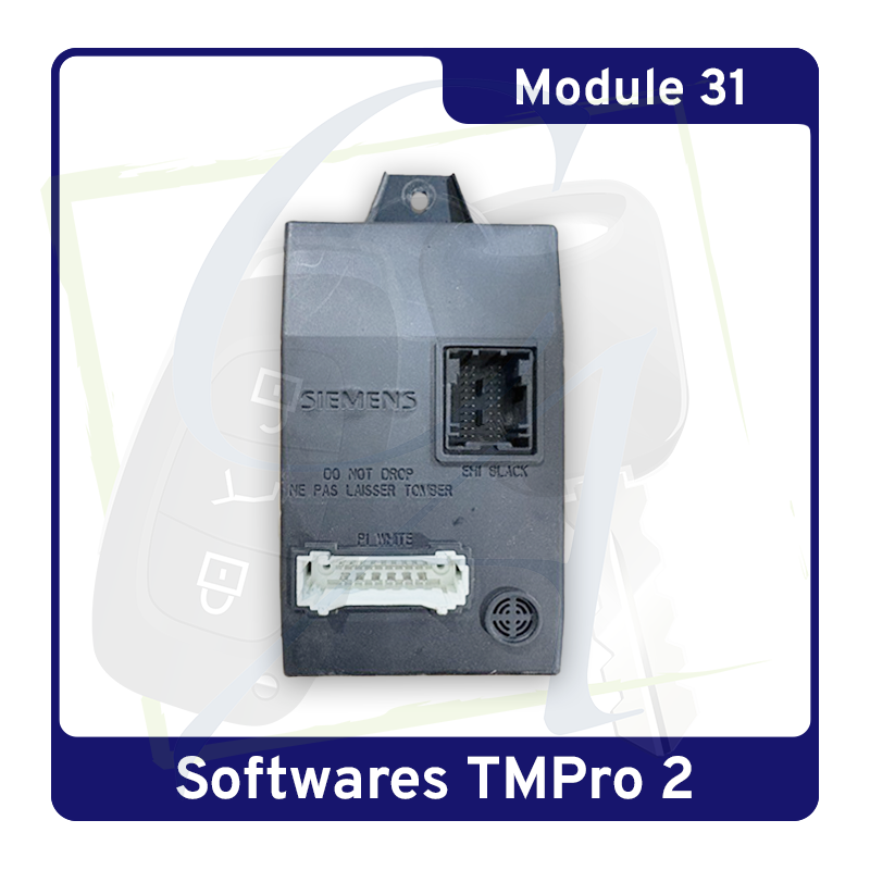 module 31 tmpro
