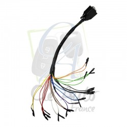 CABLE UNIVERSEL ADAPTATEUR AVDI