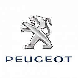 PEUGEOT 207 (2006 - 2014)