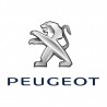 PEUGEOT 3008 (2009 - 2013)